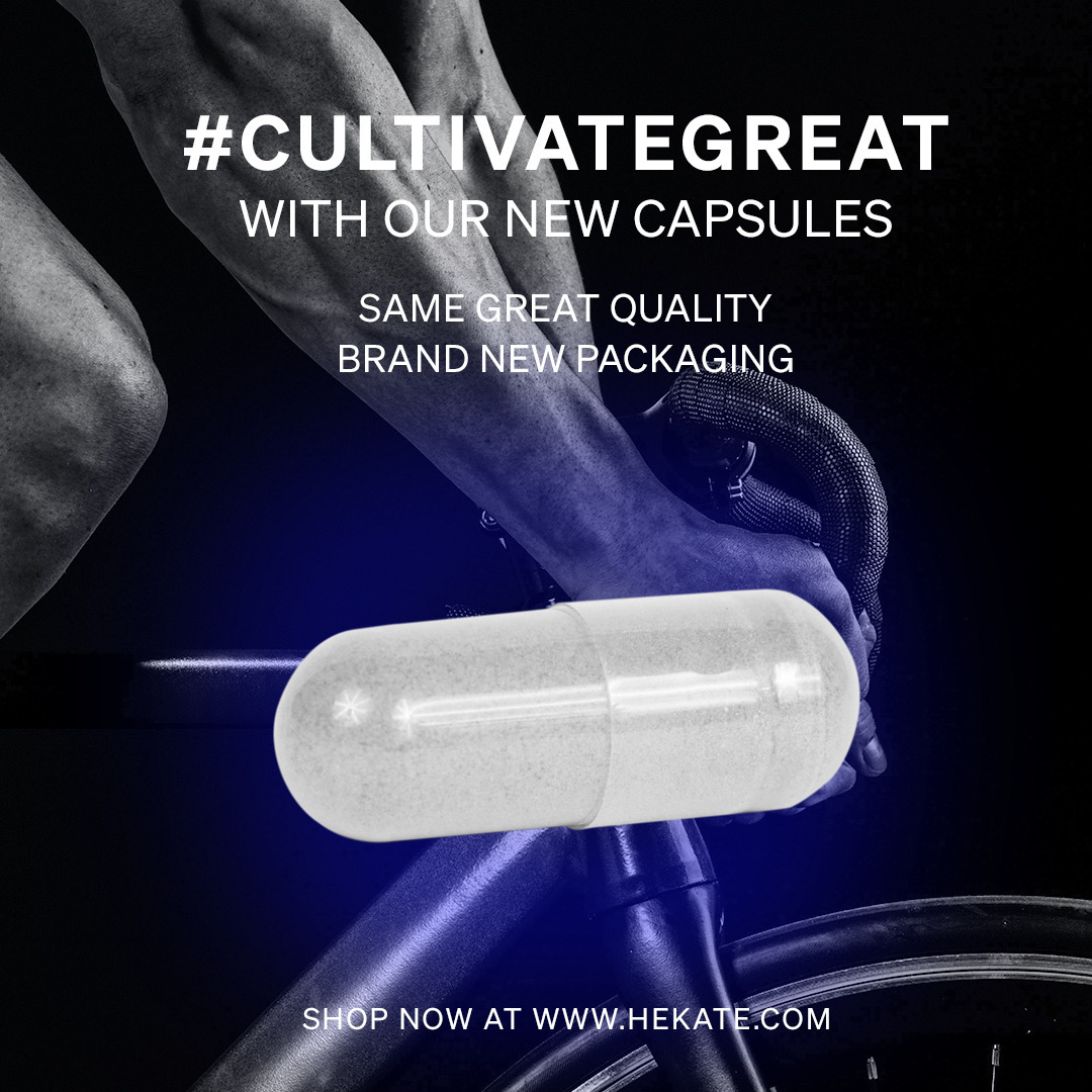 hekate_health's tweet image. 𝗜𝗻𝘁𝗿𝗼𝗱𝘂𝗰𝗶𝗻𝗴 𝗼𝘂𝗿 ✨𝗡𝗘𝗪✨ 𝗛𝗲𝗸𝗮𝘁𝗲 𝗖𝗮𝗽𝘀𝘂𝗹𝗲𝘀. Same great quality, but in brand new packaging. Maximize your performance with our #functionalmushroom products: bit.ly/3C9EXRF #CultivateGreat #Hekate #Mushrooms