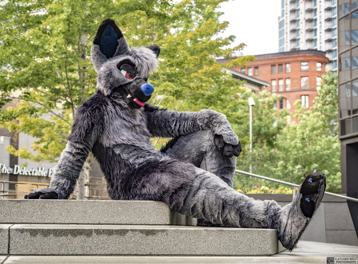 RookaRoo tweet media