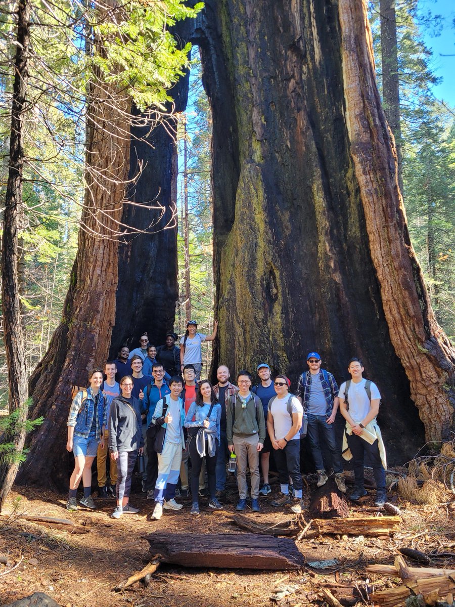 francesarnold's tweet photo. A good fraction of the #ArnoldLab fits in a single giant tree. Really enjoying our retreat in beautiful #CampEarnest #California. https://t.co/9LudLPxySN
