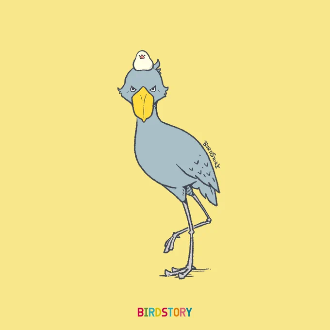 おはようございます。
本日は11月13日、いいひざの語呂合わせから、いいひざの日とのことです🐣
#BIRDSTORY 
#ハシビロコウ #ブンチョウ 