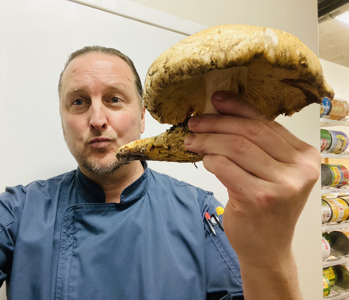 Caliman8's tweet photo. Thanks Paul…noice Matsutake 
Chanterelles and Lions Mane
Some happy peeps coming to Knights of the Vine and Escoffier dinners this weekend!
#shroomaliscious 
#theclubatpasadera https://t.co/wmqDNC5iIB