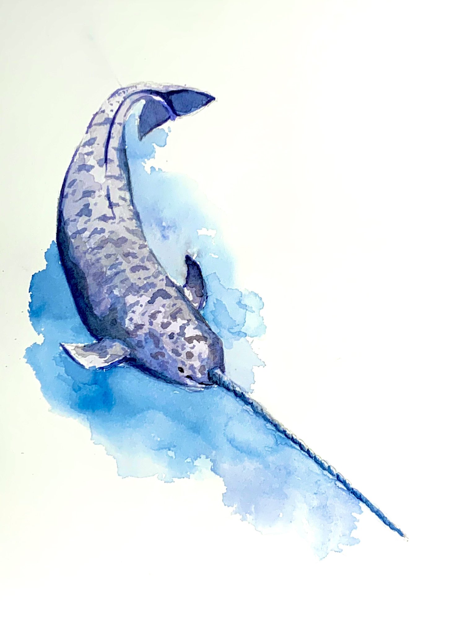 新しいエルメス Whale 点描画 原画 クジラ イラスト アート 写真 Www Cecop Gob Mx