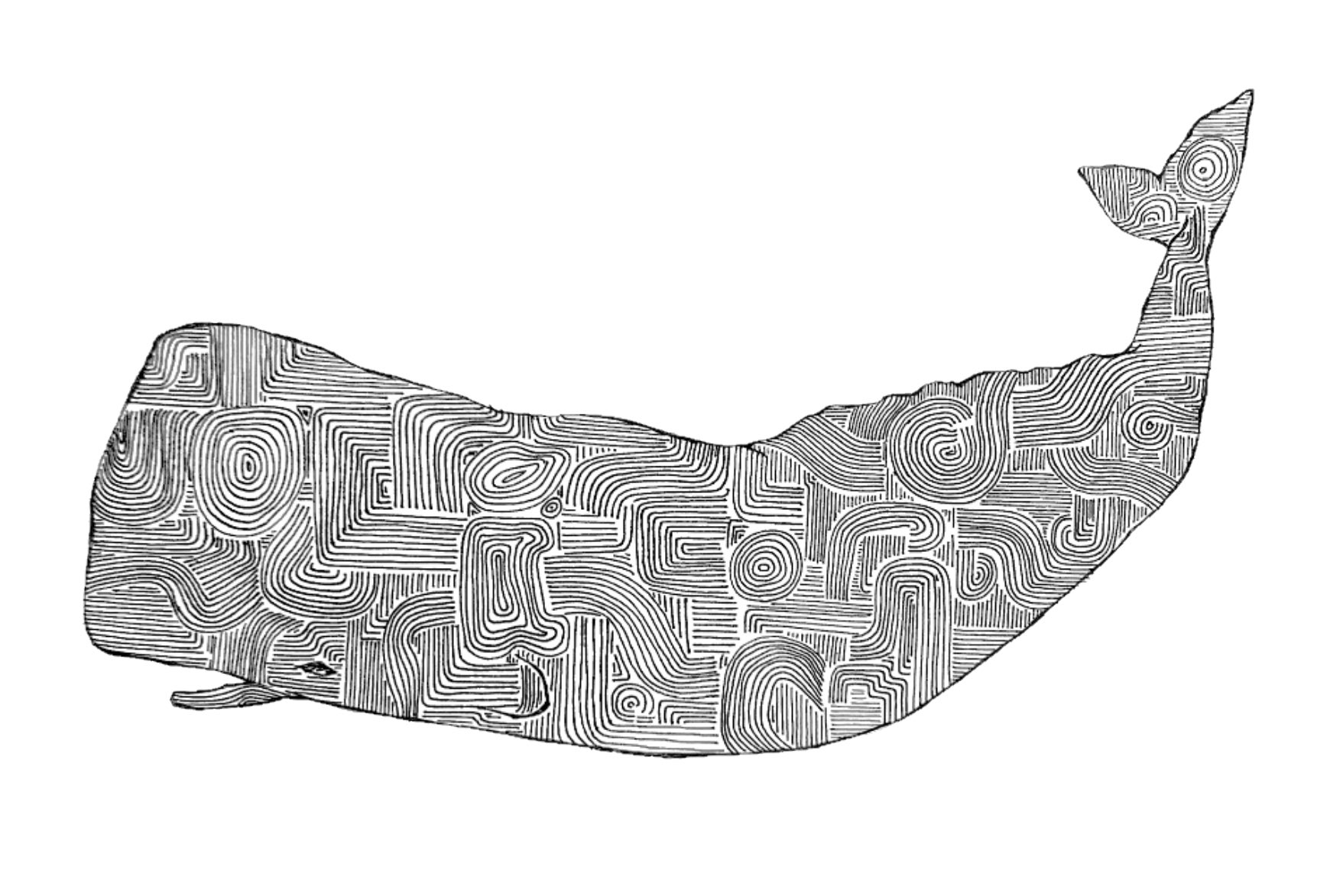 Whale 点描画 原画 クジラ イラスト Tokubai アート 写真 Jobskite Com