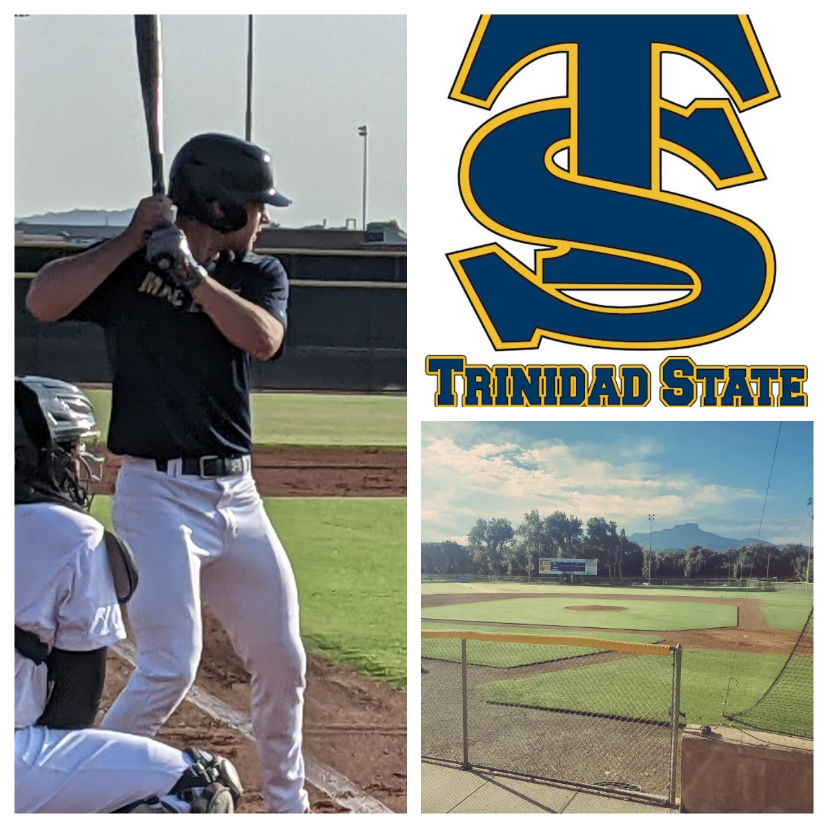 Tim Sedillo tweet media