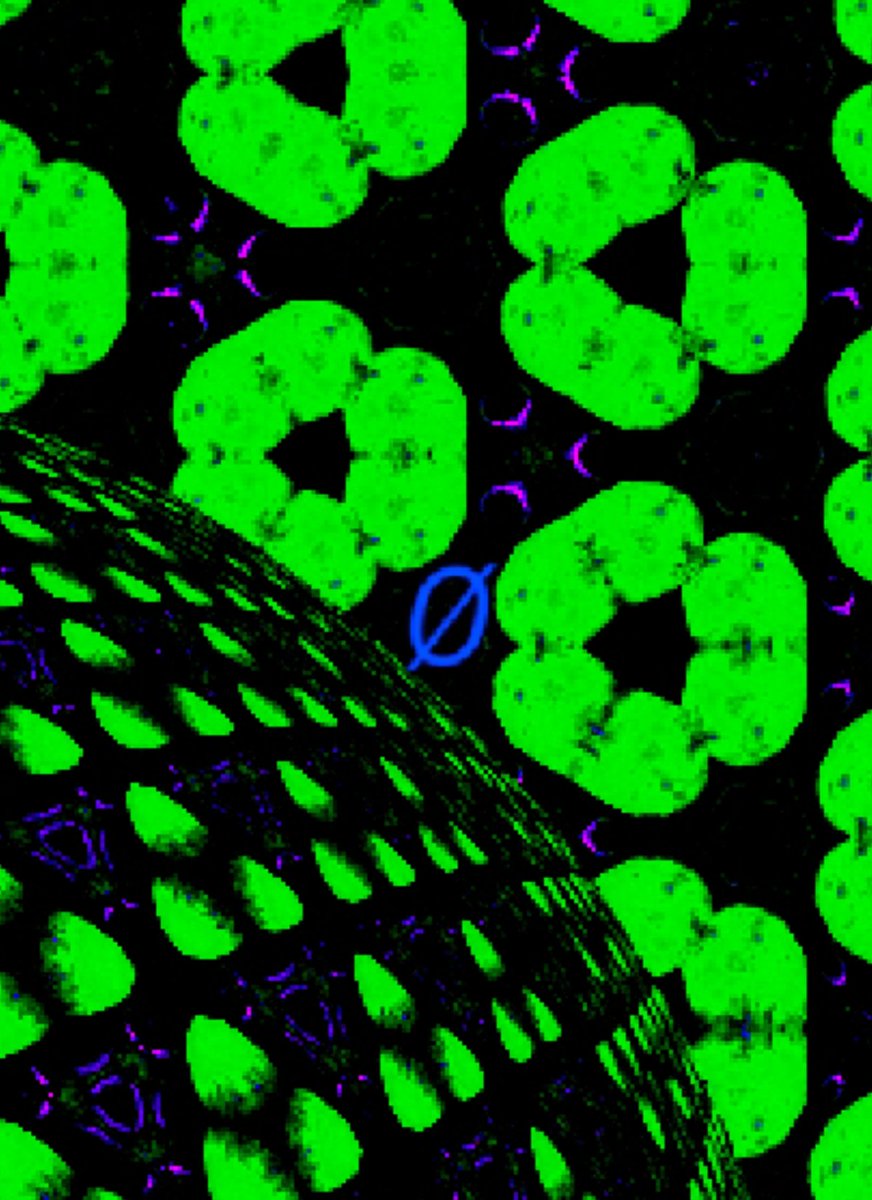 [Ø]
opensea.io/assets/matic/0… #NFTs #NFTcollection #NFTCommunity #NFTGiveaway #Dømino #ETH #NFTcollection #NFTcollectibles