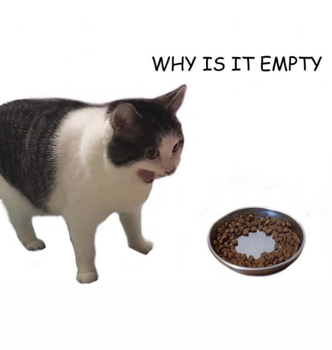 𝔈𝔩𝔦𝔷𝔞 tweet media
