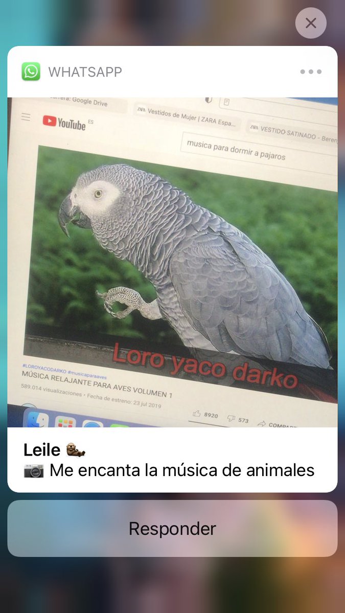 conchaapalou's tweet photo. mi amiga es muy rara ayuda https://t.co/3DLUD8pDjr