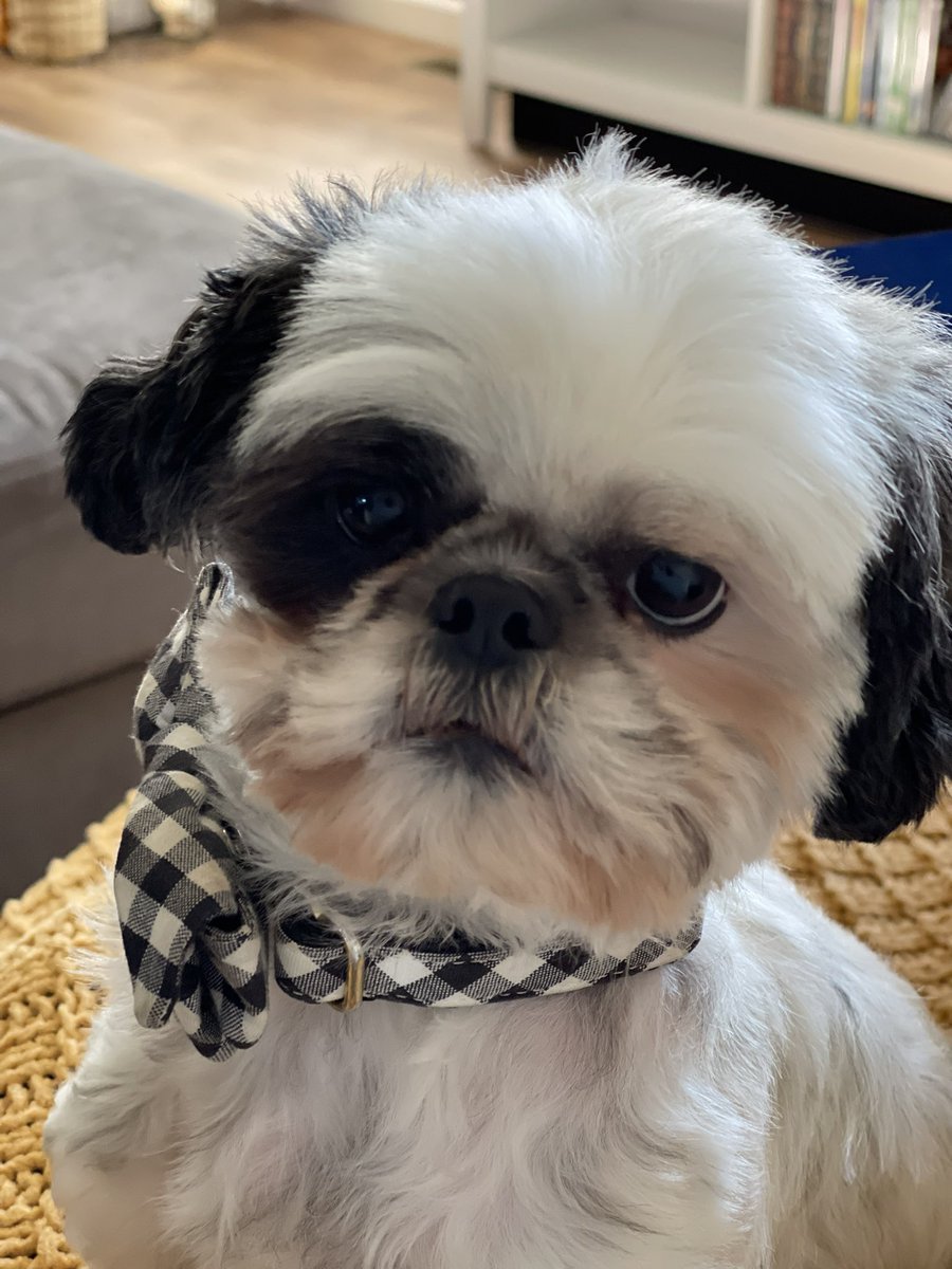 buckimomof4's tweet photo. @mdkusha Your biggest fan says good luck!!! https://t.co/BJzrYH1sKA