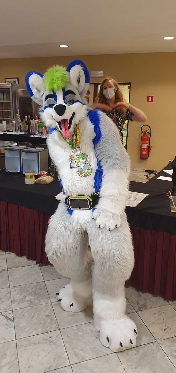 Whaler81Ace's tweet photo. This is my bar NOW!! Not bad suiting about 6ouish. Me being silly at the bar on #Fluuff saw many people who wanted to hug this fox. https://t.co/m1rzqYn4Ui