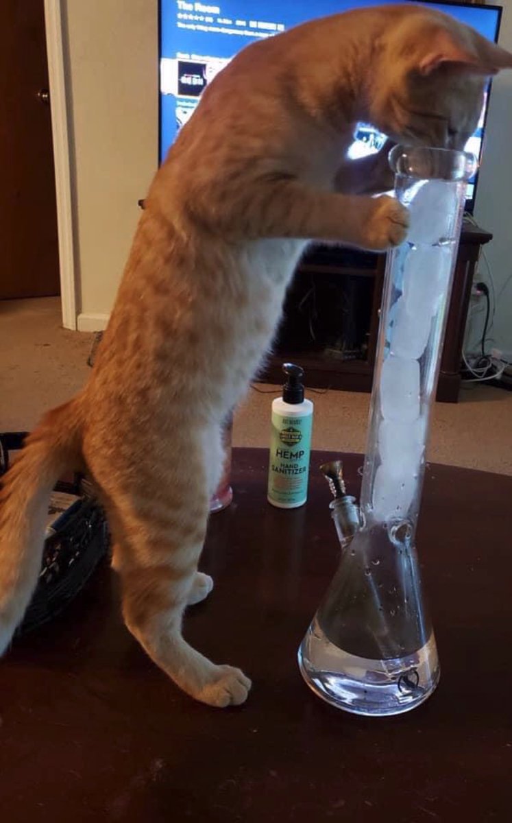 SpliffMeister's tweet photo. The lonely stoner seems to free his mind at night https://t.co/KzSHh3EuTe