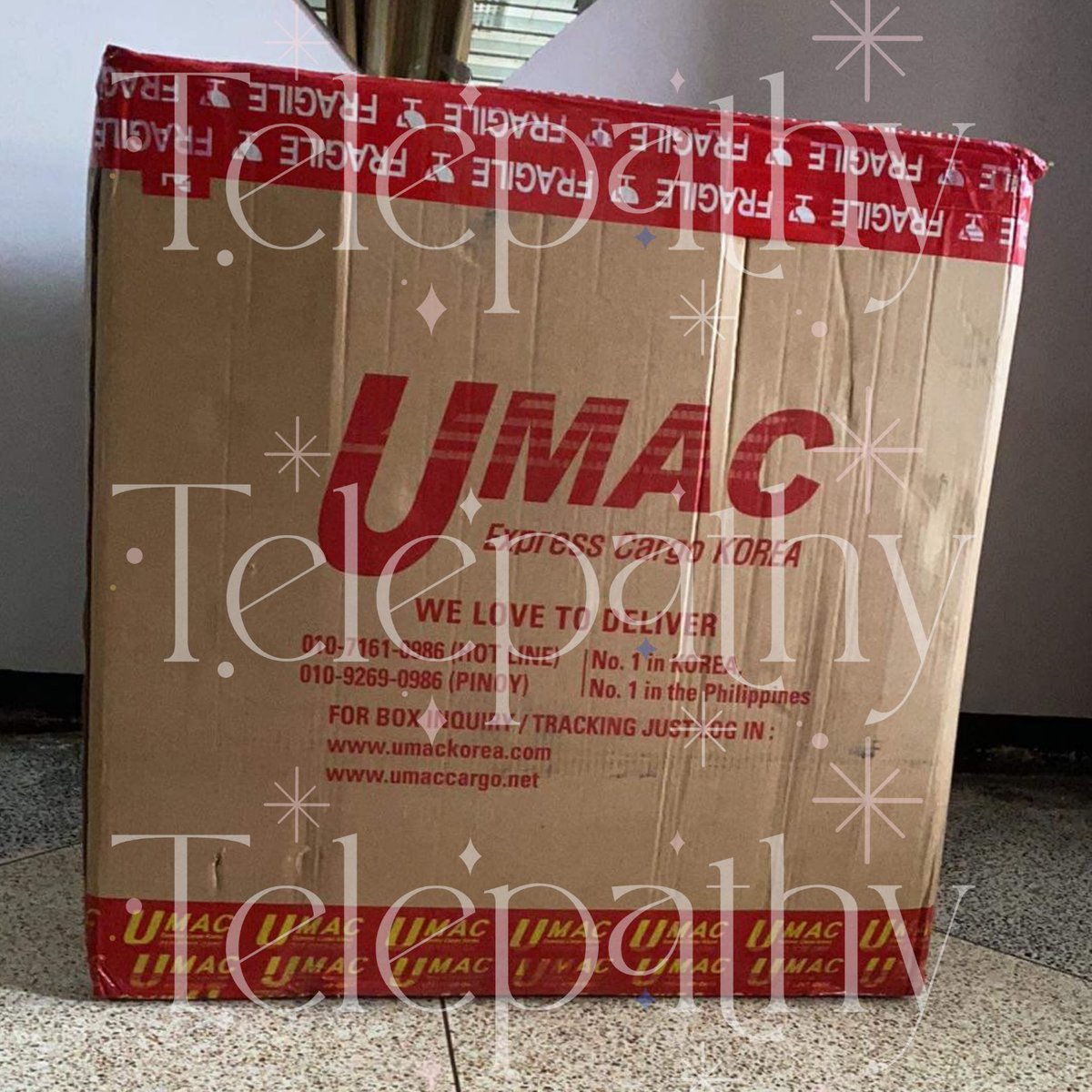 TelepathyShopPH's tweet photo. #TelepathyPHUpdates
✨SEPTEMBER BOX✨ has finally arrived!! Will unbox first to check if items are in good condition, then we'll DM you when it's ready to ship 😊
Thank you for your patience 🙇♀️ https://t.co/vzBHZfUmkJ