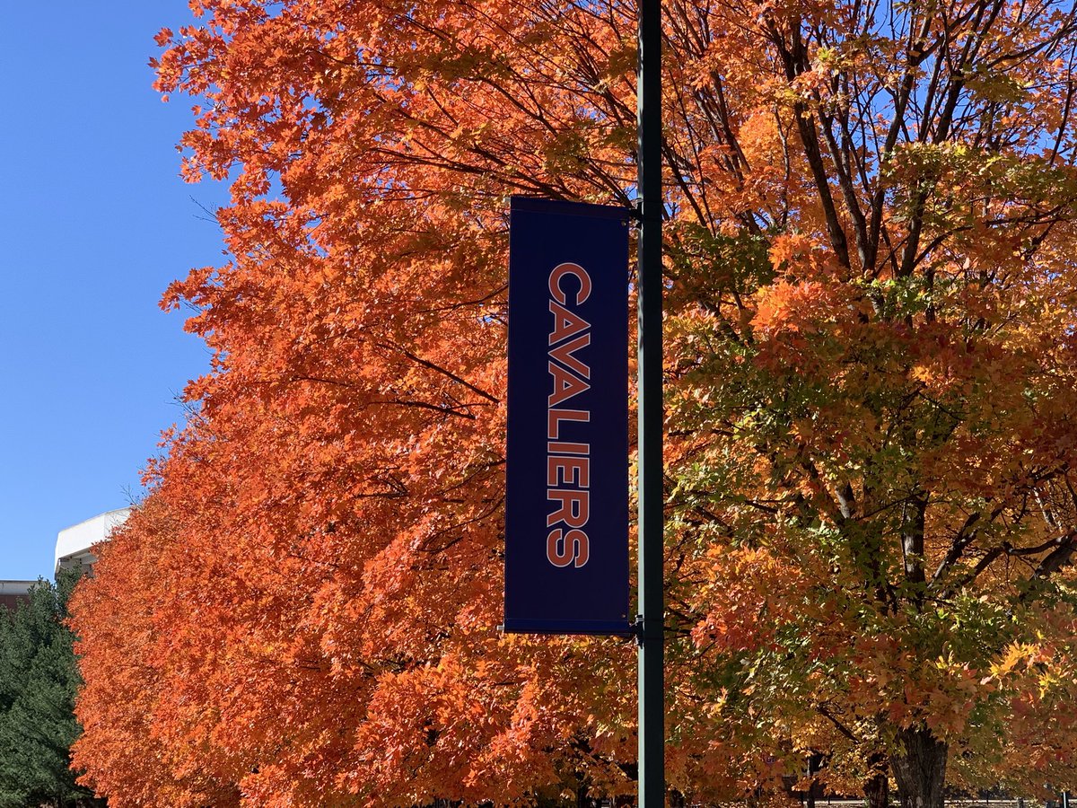 Robbie Hott tweet media