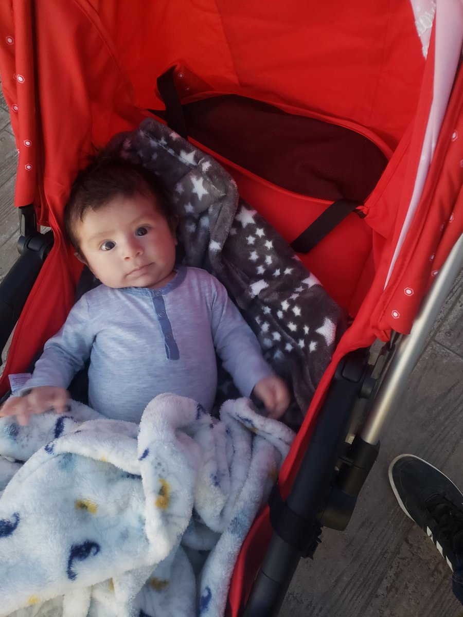 Un buen paseito 🐧💙