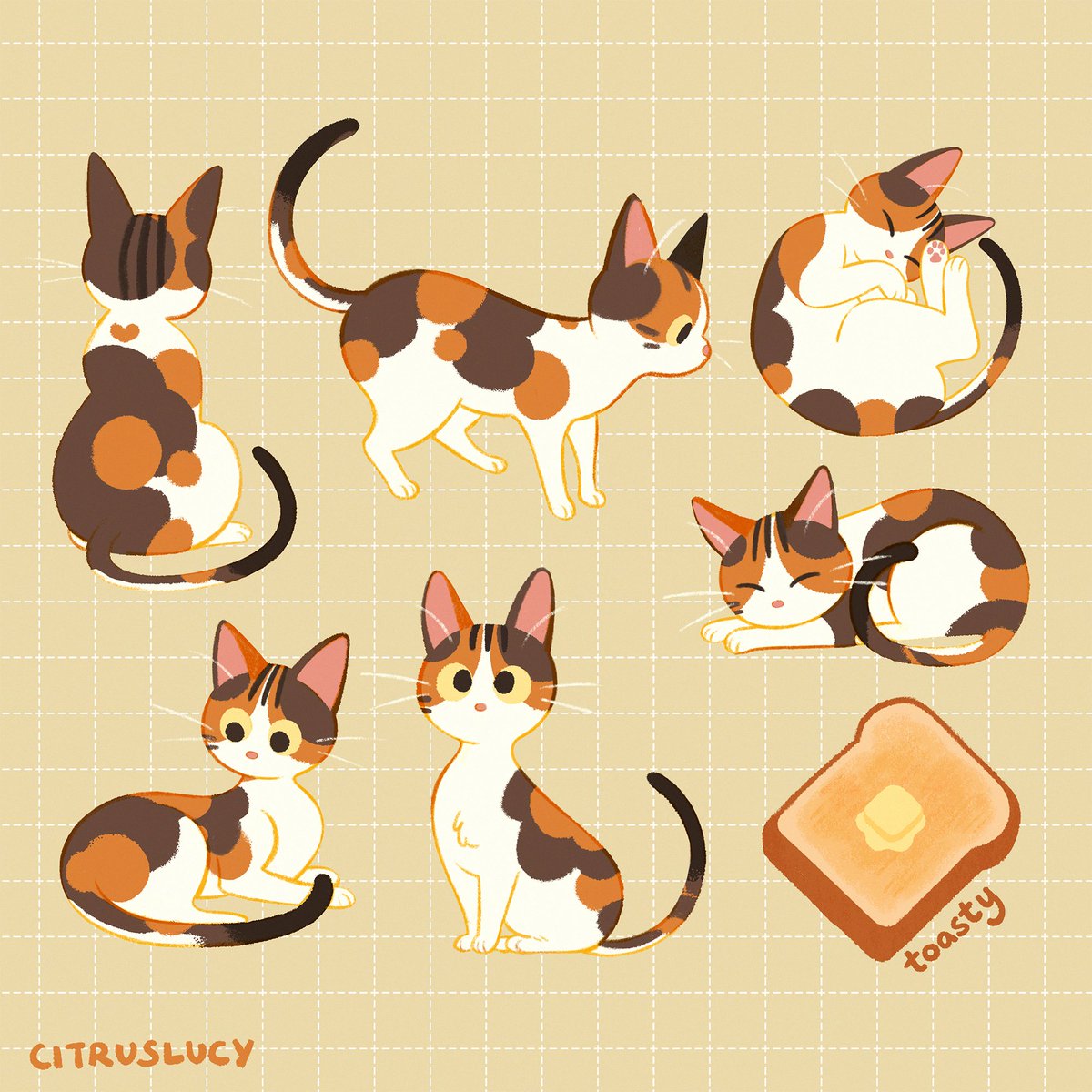 citruslucy's tweet photo. my cat 🐈                 my art 🎨 https://t.co/lHldlltX4D