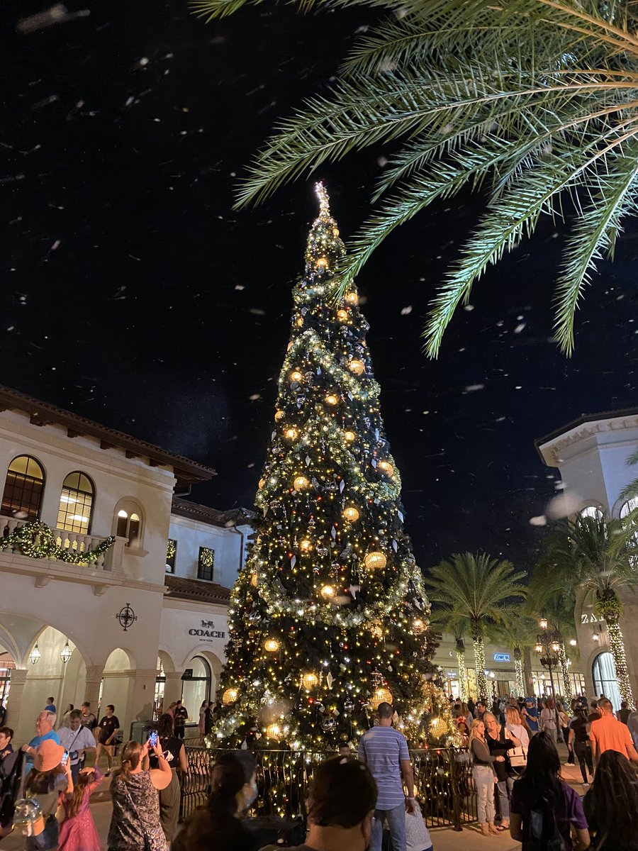 nitewatcher201's tweet photo. #DisneySprings I see “snow” the only kind I like is the #DisneySnow https://t.co/8ZaZAY01Do
