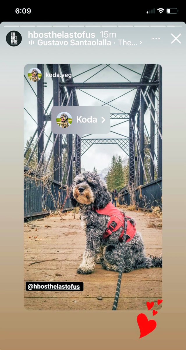 The Last of Us News tweet media