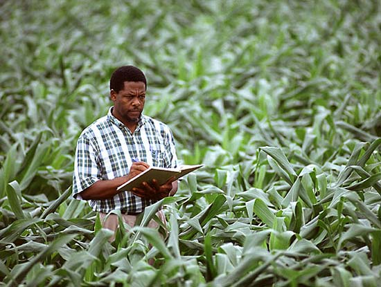 AfricanGrowers's tweet photo. The food you eat can either be the safest and most powerful form of medicine or slowest form of poison. - Ann Wigmore

Choose wisely, who is your food producer?

Tag a friend.#food #medicine #poison #foodblogger #foodblockchain #foodies #africafoodsystems #africa #naija #TAGsFarm https://t.co/3CHCWjOW82