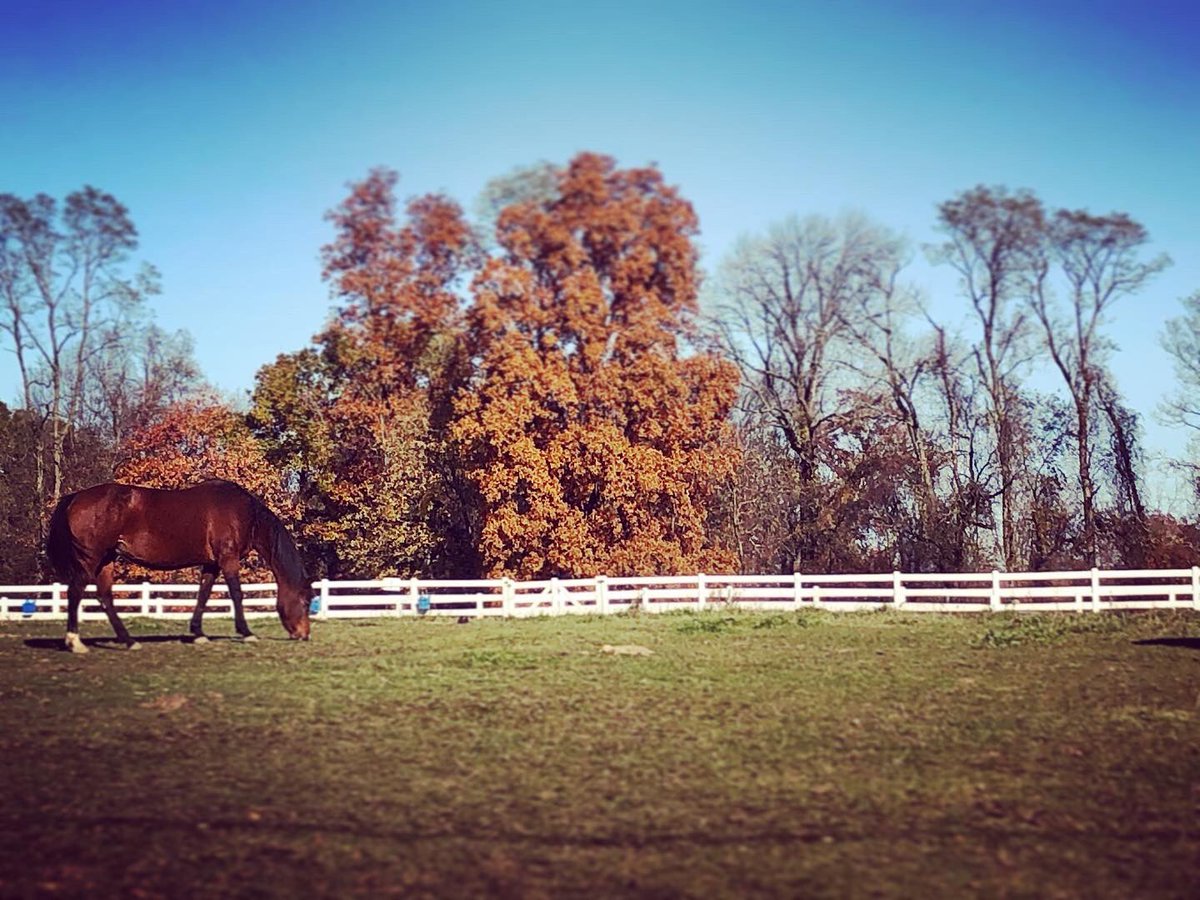 valley_ed's tweet photo. Our Floral and Equine Science teams competed in the State CDE’s at UCONN last week. https://t.co/T6yY7Hgbez