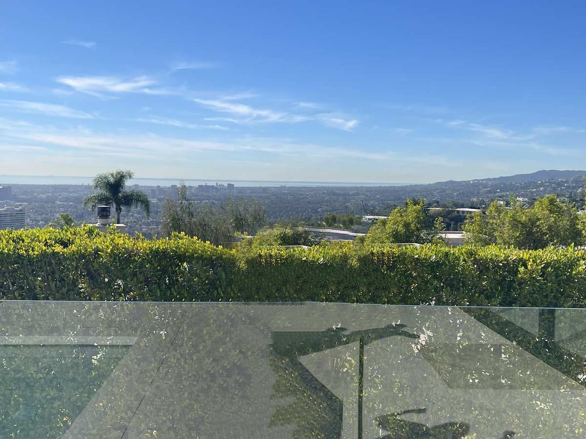 Pigicial tweet media