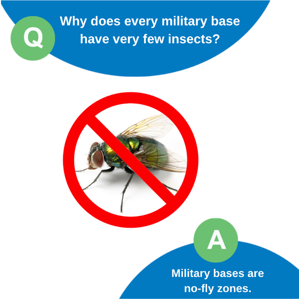 PestDefense's tweet photo. #FridayBugFun https://t.co/0b4Iu4XpAR