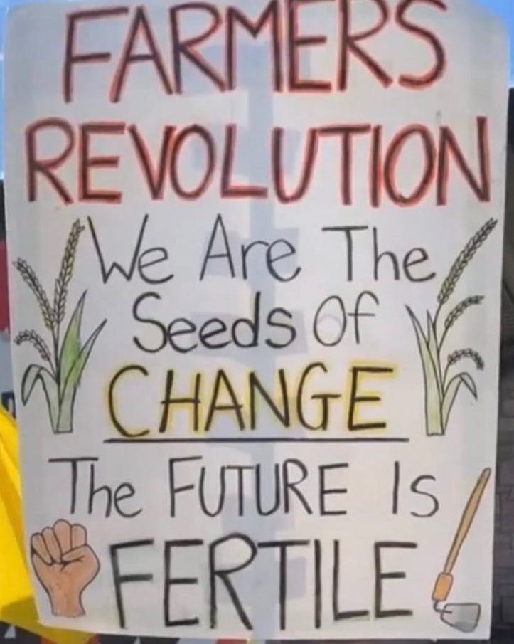 rajmorcha's tweet photo. Farmers of india United against the pernicious laws and peacefully protesting at delhi borders from almost a year,664 farmers martyred till date.
It is fight against Corporates and autocratic Govt.
We support our farmers in this fight untill the end.

#TakeBack_BlackFarmLaws https://t.co/wI90SFFYve