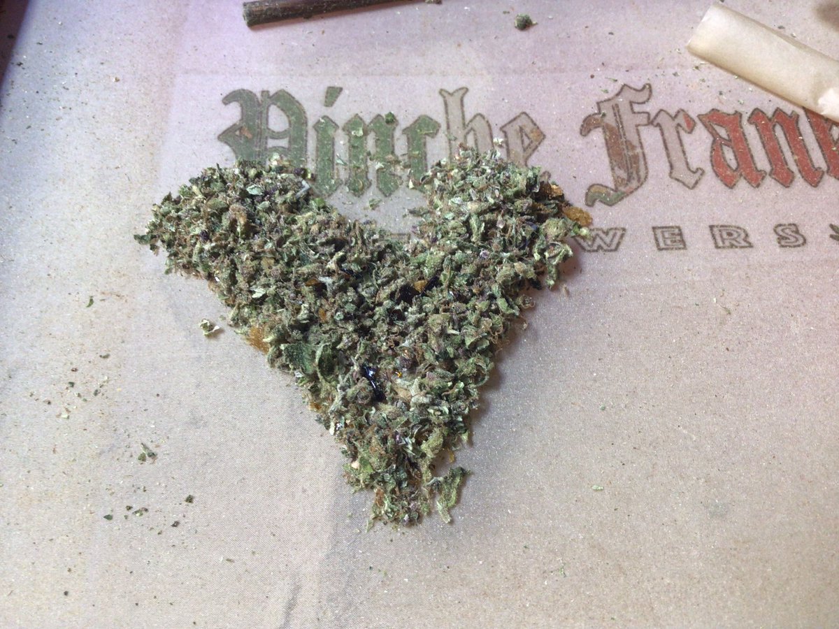 BIGHURT's tweet photo. 🌱x🌱x🌱x🌱 a little shatter,butter,purple Thai,and a whole lot of love.
#frankyflowbox #flowboxexperiment https://t.co/xN6G1P7Uf2