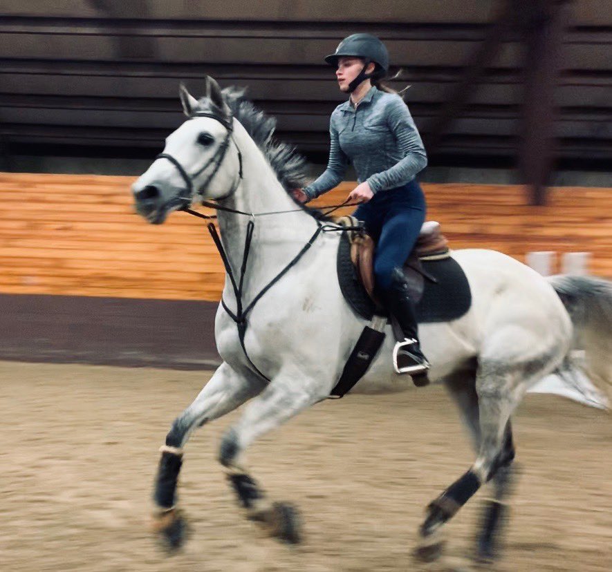 OSURILEYS's tweet photo. Congratulations to Layne and Gibson for finishing the 2021 OPHA Jumper season with a Bronze medal for points per show!!  4 years ago, our trainer Michelle introduced us to this fabulous  off the track thoroughbred. So thankful for Heather, Michelle, Julie and Ric! #silverlining https://t.co/FiJVSuKSZy