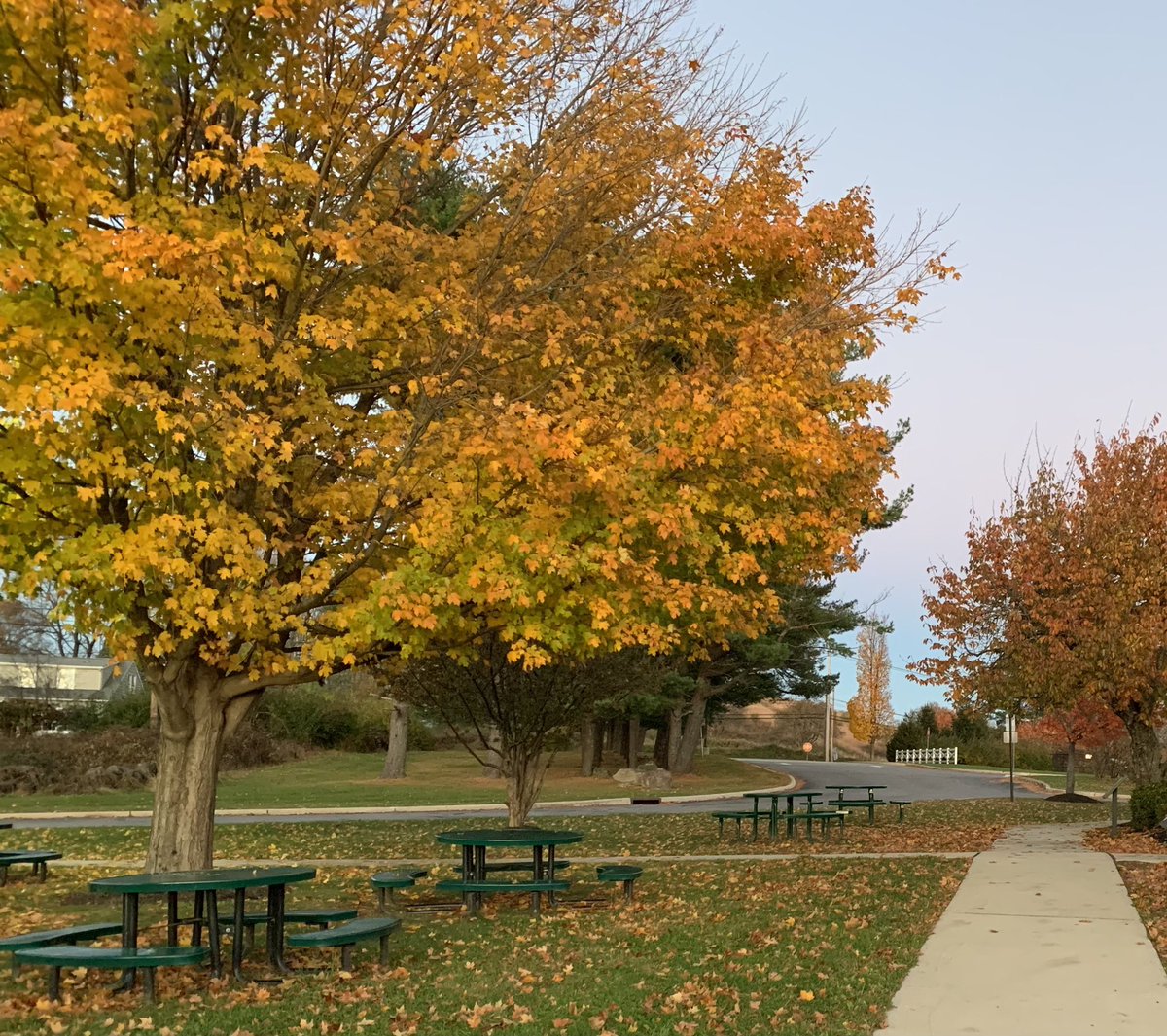 MrsWeber1st's tweet photo. Take time to stop and appreciate the beauty of nature. #wearechesternj @DickersonSchool https://t.co/7JDMKbiaXF