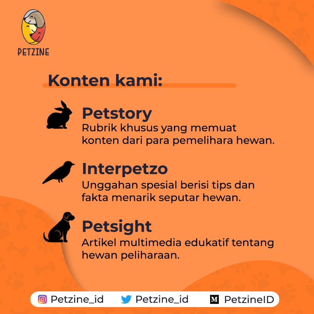 Petzine_id's tweet photo. Telah hadir, PETZINE, sebuah platform multimedia yang memberikan informasi penting seputar hewan peliharaan, serta mewadahi perbincangan di antara para pecinta hewan peliharaan. Pastikan kamu selalu menunggu informasi dari PETZINE, ya!

#PetzineID #Informasi #HewanPeliharaan https://t.co/QrcEYReTkm