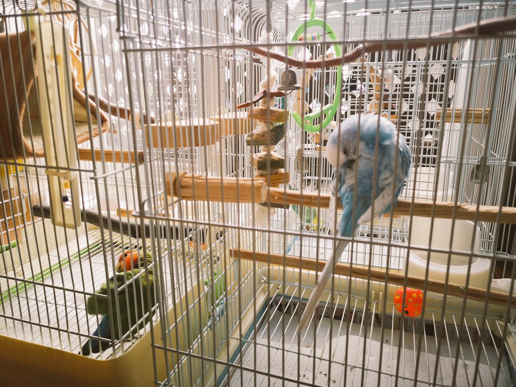 網戸越しに日向ぼっこ🌞
気持ちんよかね🎶