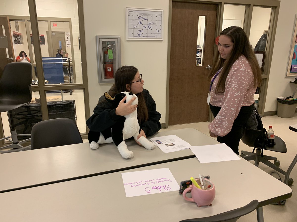 With the help of our Tarleton PD student teacher, Ms. Smith, our Vet Med students were able to learn and practice various methods of animal restraint today in class! This included how to properly hold an animal and apply muzzles to keep everyone safe. Thanks, Ms. Smith! <a href="/GHS_CTE/">Granbury High School CTE</a>