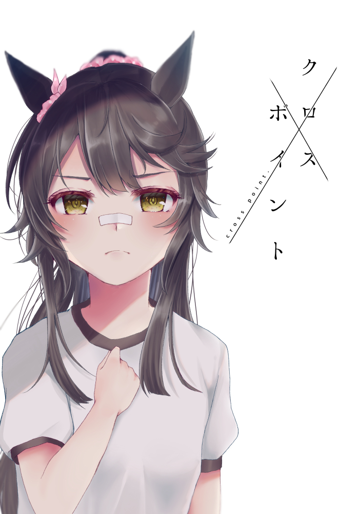【新刊宣伝再投稿】2/2
ちょい不親切だなと思ったので、昨日の夜上げたものよりもサンプルページを増やして描きこみを増やしました。
書店委託はメロンブックス様を予定しております。 