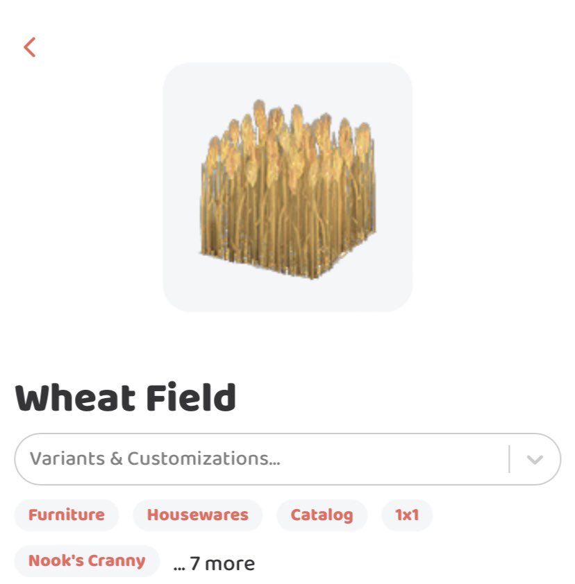 pauchokplays's tweet photo. planted A LOT of wheat crops bc i thought they would look like this after a while but it turns out that the WHEAT FIELD y'all are posting is a fckng furniture item OMG BYE 🤦🏻‍♀️ https://t.co/I8cpcZSWYY