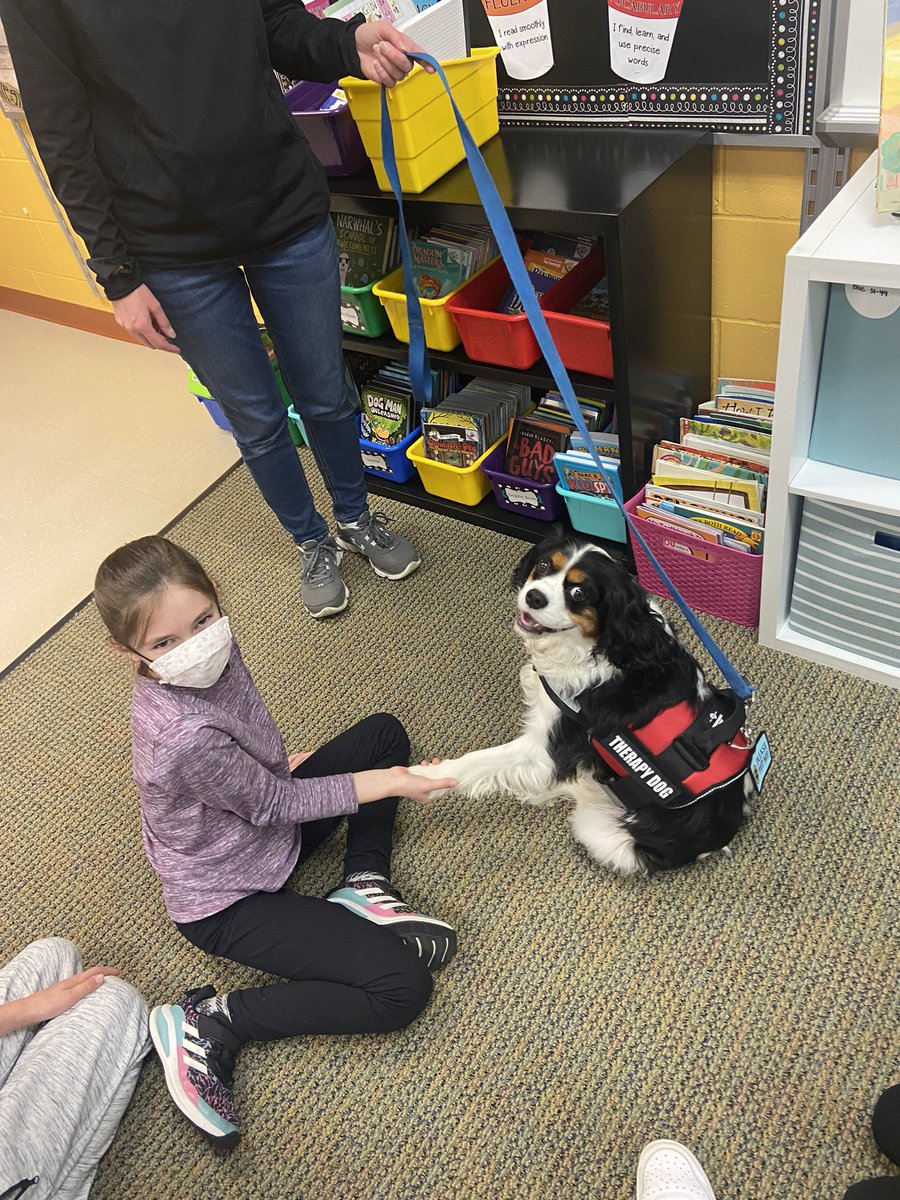 DevineReaders's tweet photo. Best Friday ever!  Tucker the therapy dog came to listen to us read.  Lucky third graders and lucky me!  @gossen_jennifer #wdppride #WDPHemlockCreek https://t.co/Ds3I7kGwlu