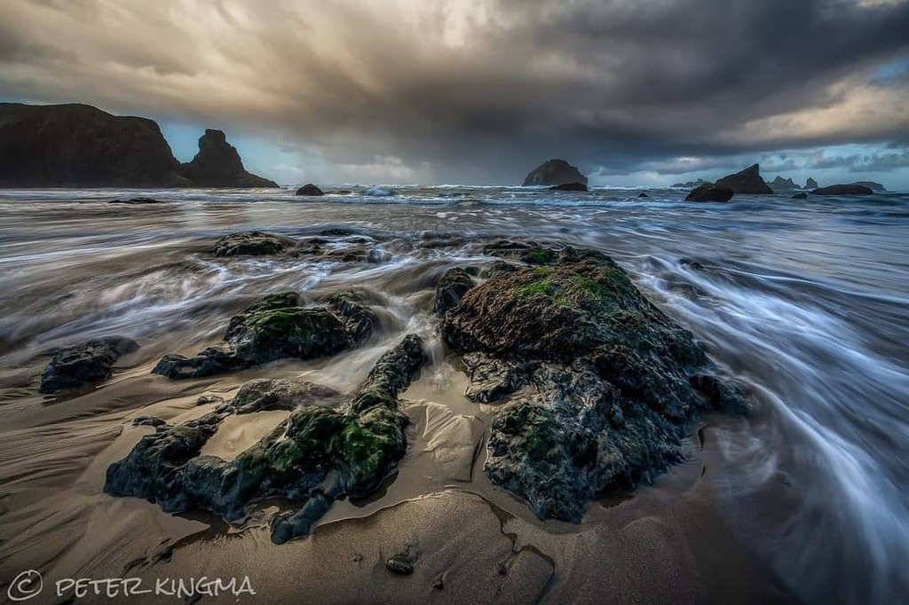 Oregonexplored tweet media