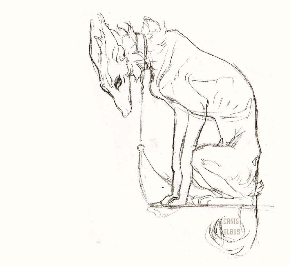 Kalpeakoira's tweet photo. I'm sorry I haven't had the time to draw anything worthy of showing. I'm just busy and tired and busy. https://t.co/AyEBSvx2aA