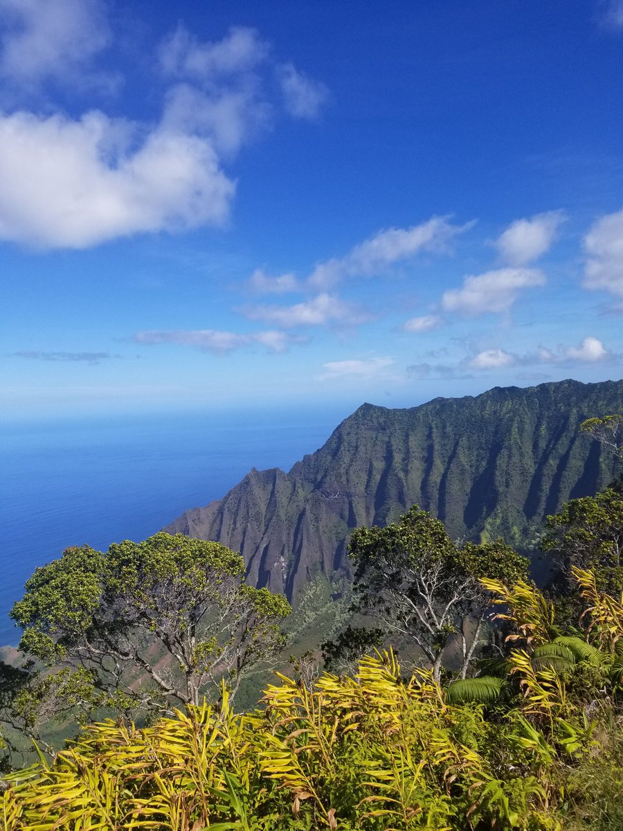 _davewiff's tweet image. Day 3:  One last adventurous day on Kauai. A trip into the Waimea Canyon and the Na Pali Coast. All capped off by a hike to (on!) the Waipo Waterfall (aka the waterfall in Jurassic Park)