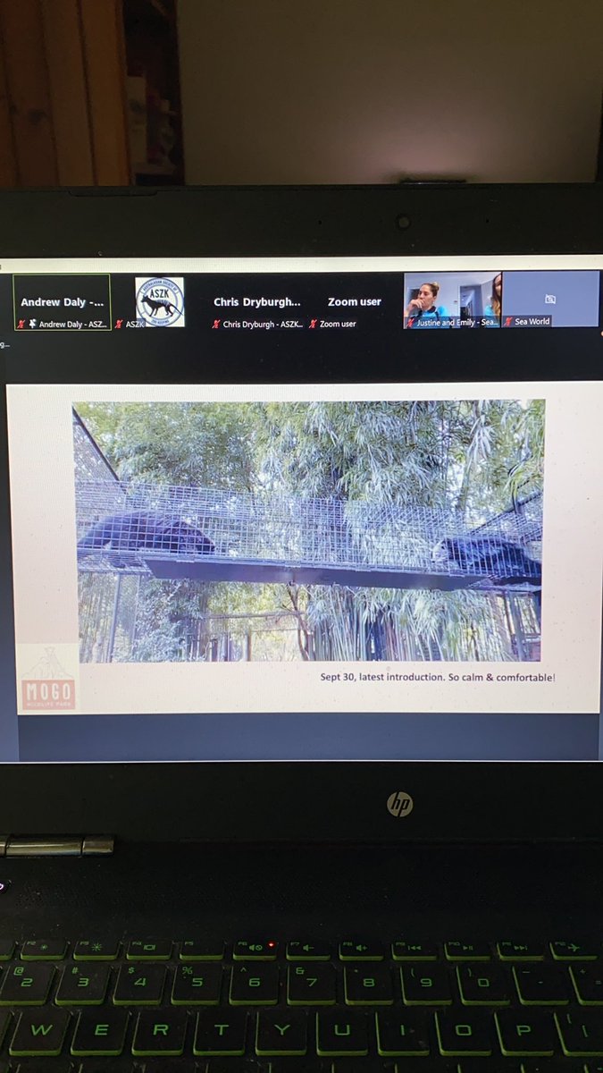 ASZK18's tweet photo. Day 2 of the ASZK conference and we are learning about Binturong breeding at @mogowildlife https://t.co/PH6ekksxBM
