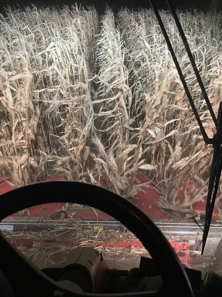 broekfarms's tweet photo. Little seat time as we get near the end of #harvest21  #ontag https://t.co/I5W2SgmyPu