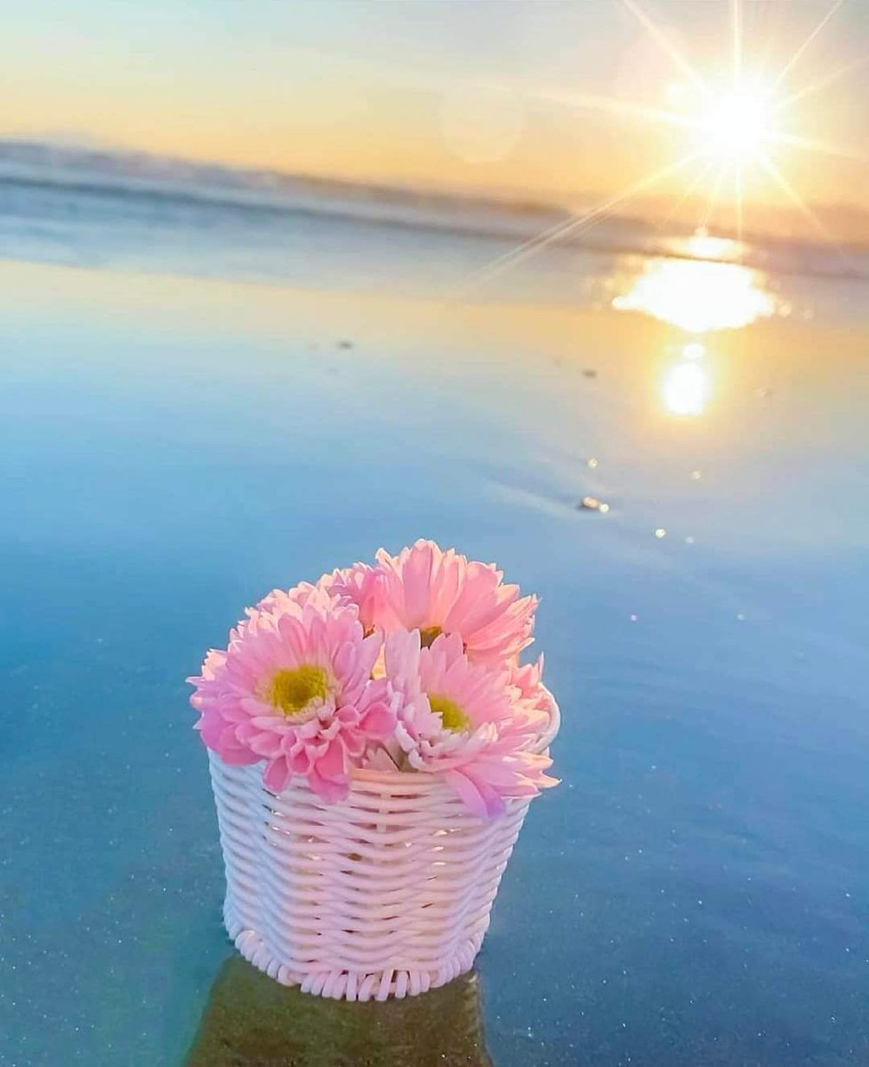 🦋✨ѕнмαмα✨🦋 tweet media