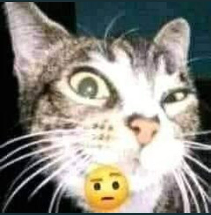 neural net guesses memes tweet media