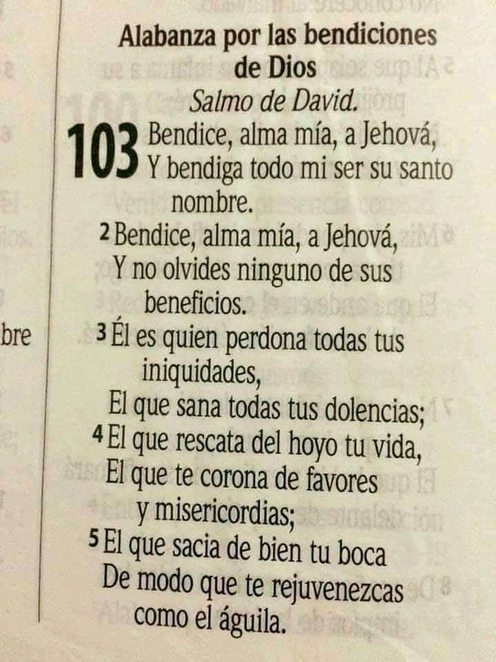 Silvina daniela Luna (@silvinaluna) on Twitter photo 