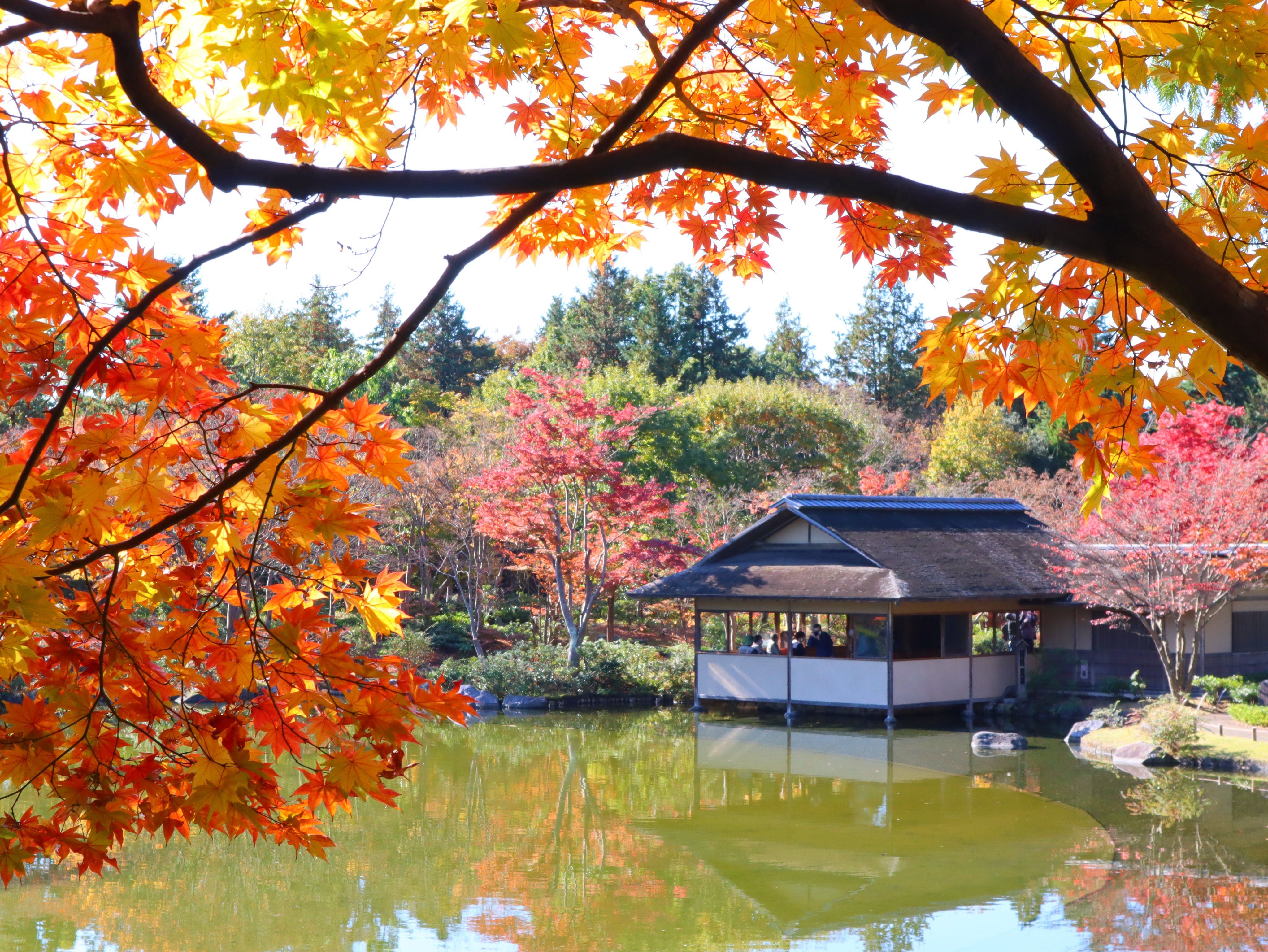 国営昭和記念公園 Showakinenpark Twitter