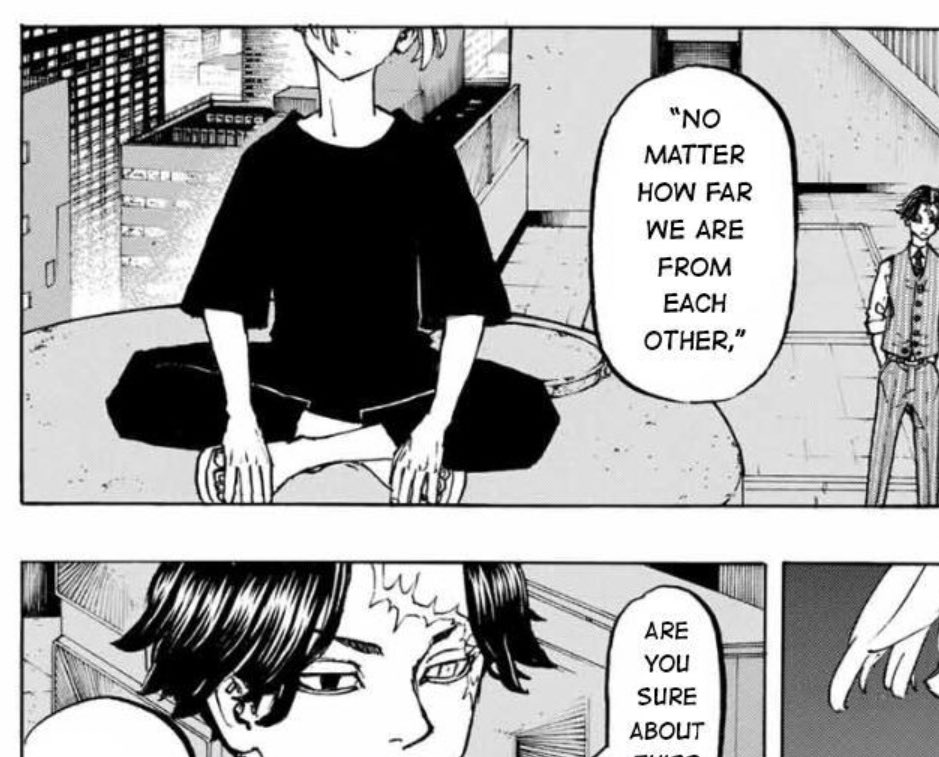 lei que es facil reconocer al gato alfa en una casa porque siempre es el que elige el lugar mas alto para sentarse y-