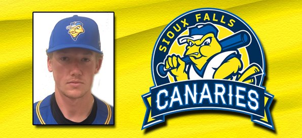AA_Baseball's tweet photo. November 11 Transaction: @canaries released RHP Darrien Williams and signed INF Cole Pengilly (pictured, @cpengilly22).

Pengilly made his professional debut in 2021 with Sioux Falls after playing collegiately for @GustieBaseball. https://t.co/EVhBFFPwdj