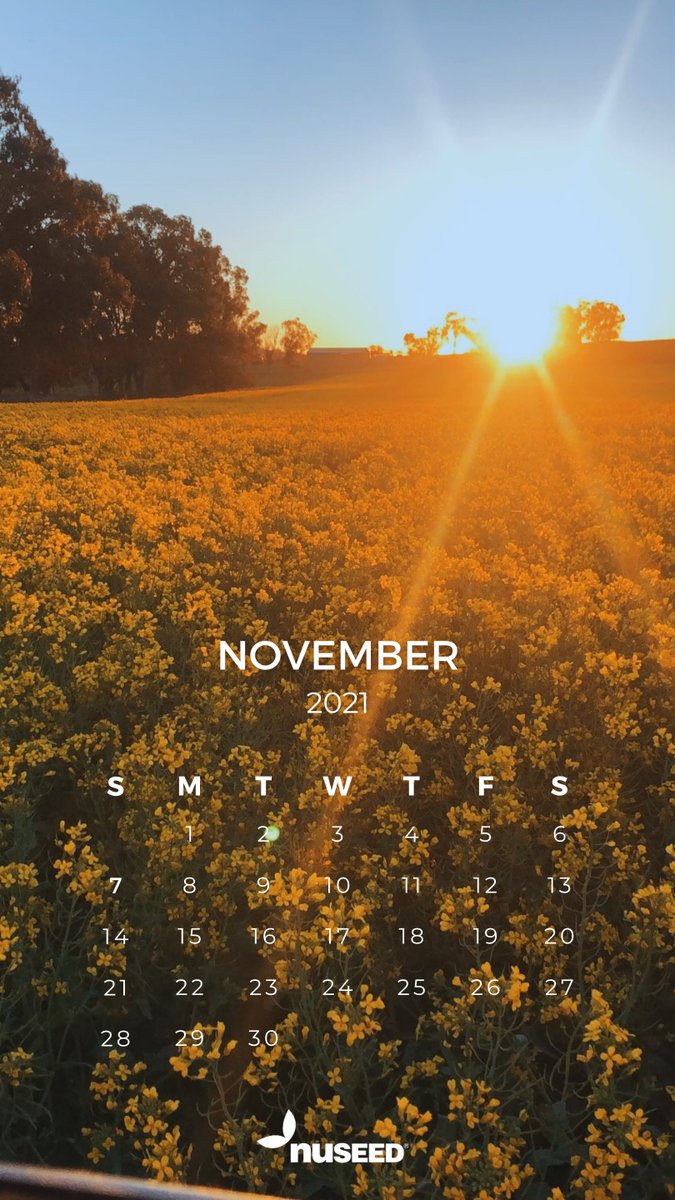 NufarmSeedsAU's tweet image. Have you downloaded the November screensaver? We’d love you to share your Nuseed crop or harvest photos for us to feature as a screensaver. Tag us @NuseedAustralia #PaddockPride