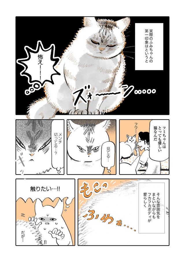 隔週連載『うちの猫は仲が悪い』明日更新です!
前回分こちら👇
猫の"ふみちゃん"と仲良くなりたい/うちの猫は仲が悪い① | ダ・ヴィンチニュース https://t.co/n2C0enVtLH