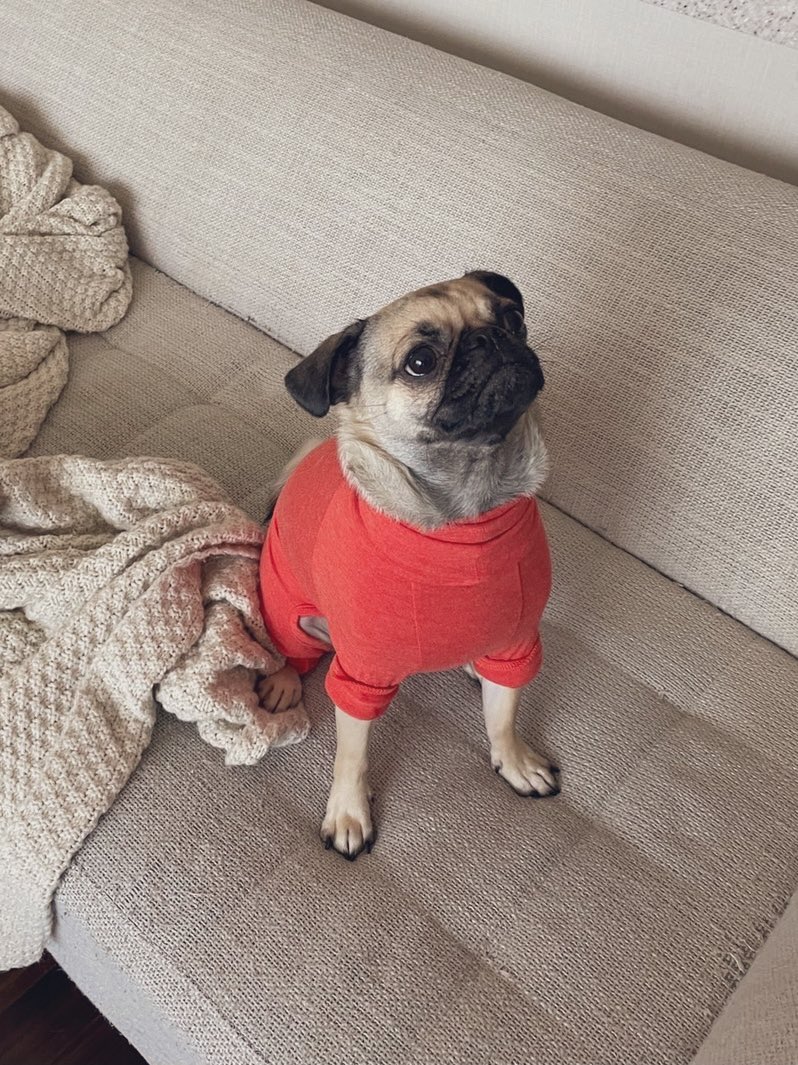 コロッケ (@5656korokke5656) / Posts / X