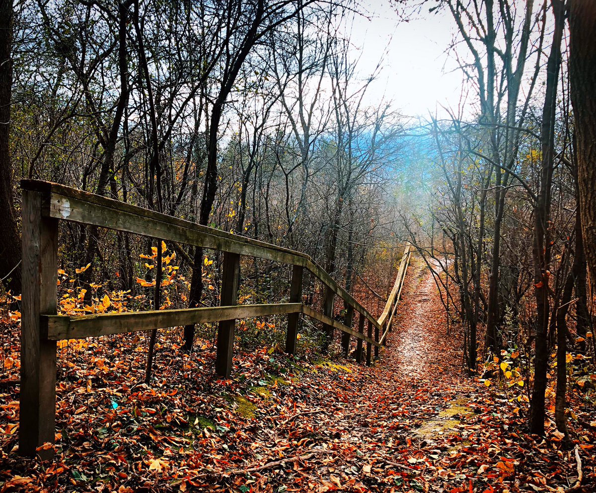 pj_vanb's tweet image. Went for a hike at Westminster Ponds today, and I think these might be among the best pictures I’ve ever taken 🤩🍂

#LdnOnt #FallHikes