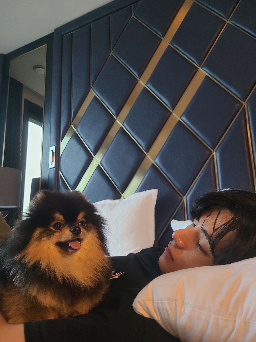 btsargento's tweet photo. — las fotos de taehyung con yeontan son tan bonitas, los amo mucho ㅠㅠ @BTS_twt https://t.co/BeCkBK5HsB